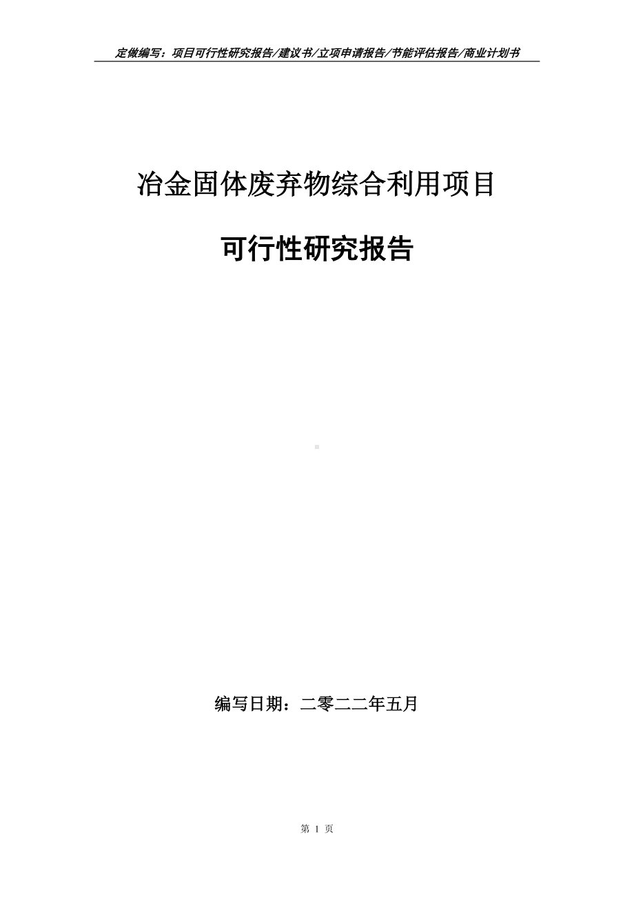 冶金固体废弃物综合利用项目可行性报告（写作模板）.doc_第1页