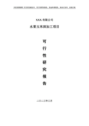 水果玉米深加工项目可行性研究报告申请建议书.doc