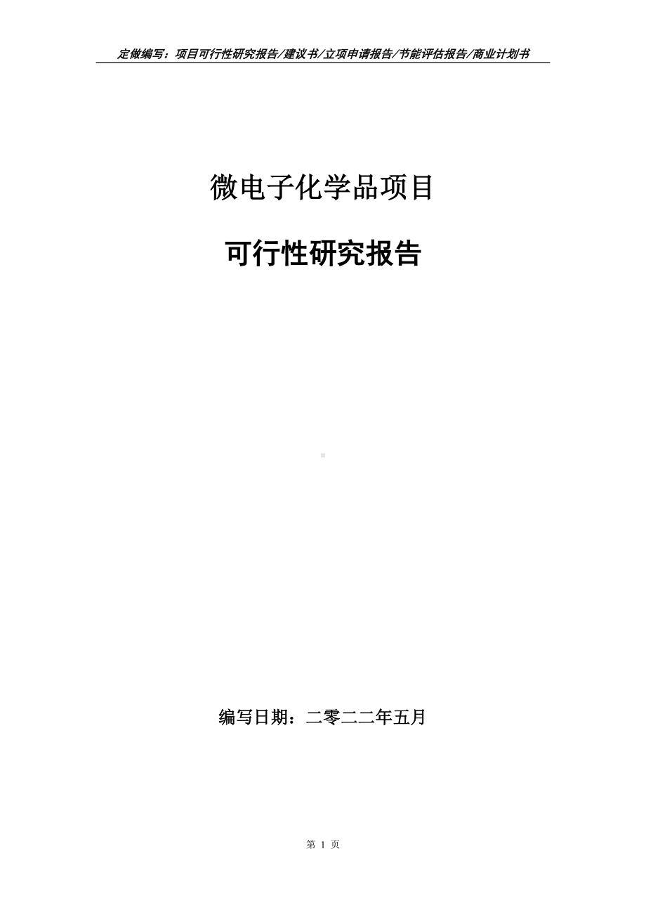 微电子化学品项目可行性报告（写作模板）.doc_第1页