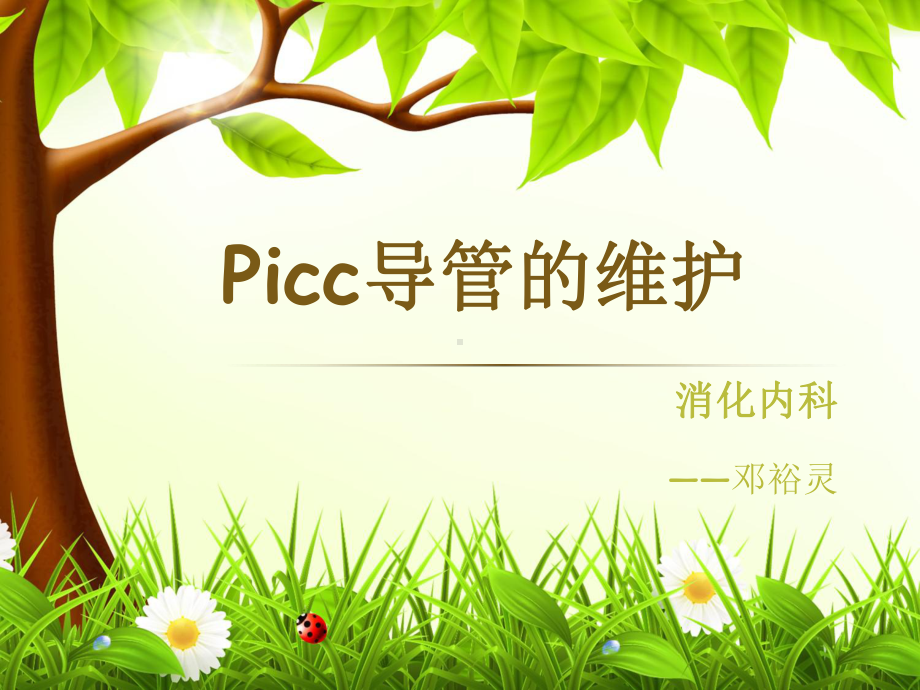 Picc导管的维护课件完整.ppt_第1页