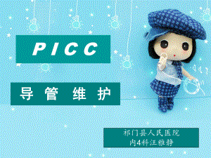 PICC导管的维护课件.ppt