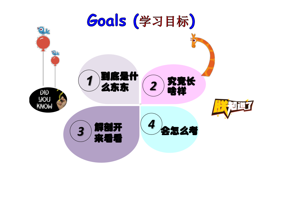 2021年中考英语专题复习ppt课件 -定语从句.pptx_第3页