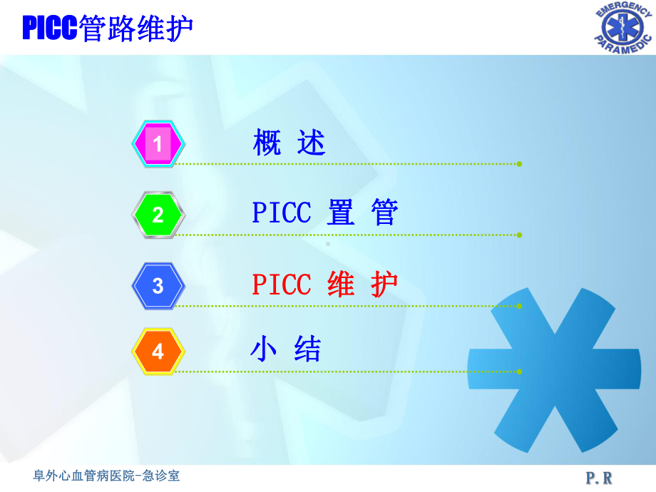 PICC导管维护完整.pptx_第2页