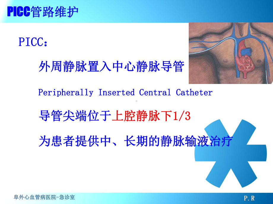 PICC导管维护完整.pptx_第3页