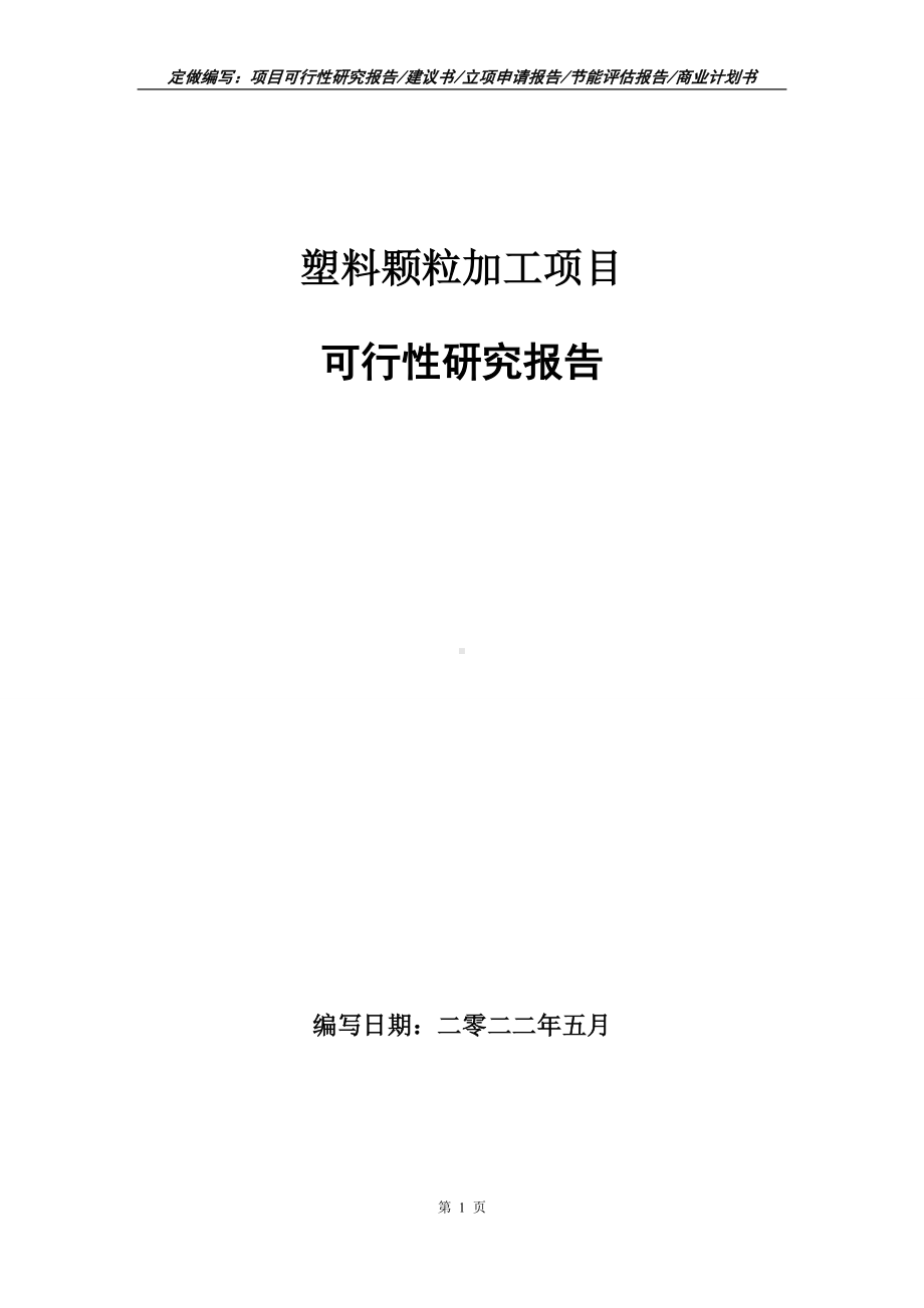 塑料颗粒加工项目可行性报告（写作模板）.doc_第1页