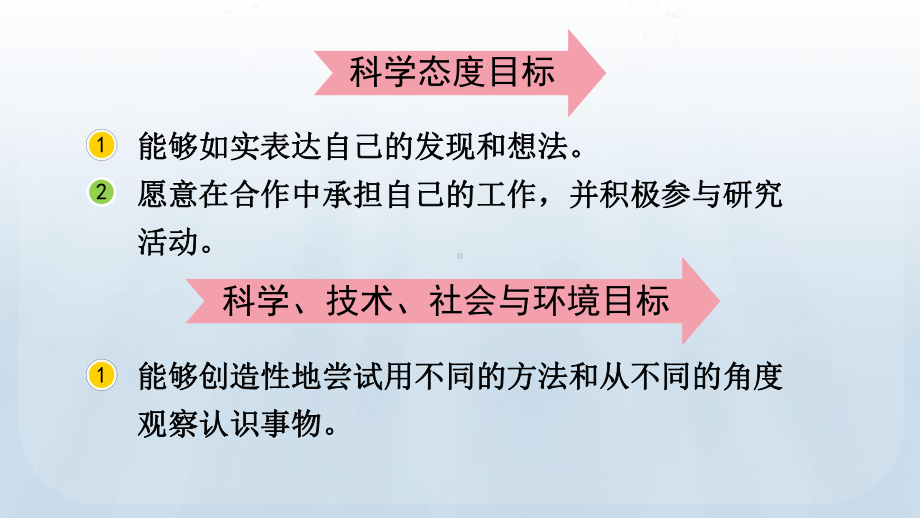 教科版科学二年级下册第二单元 我们自己3 观察与比较课件.pptx_第3页