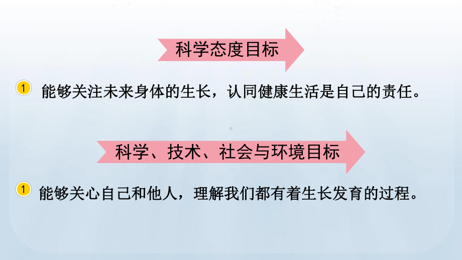 教科版科学二年级下册第二单元 我们自己6 身体的“时间胶囊”课件.pptx_第3页