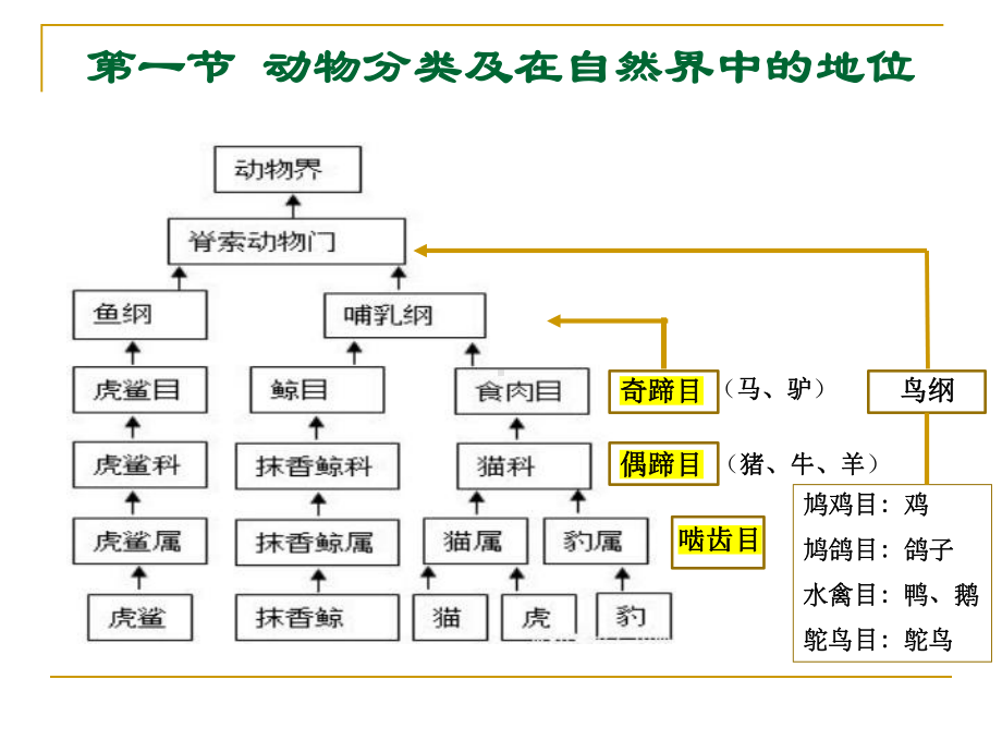 大学课件：1 绪论动物与动物科学概述28(1).ppt_第3页