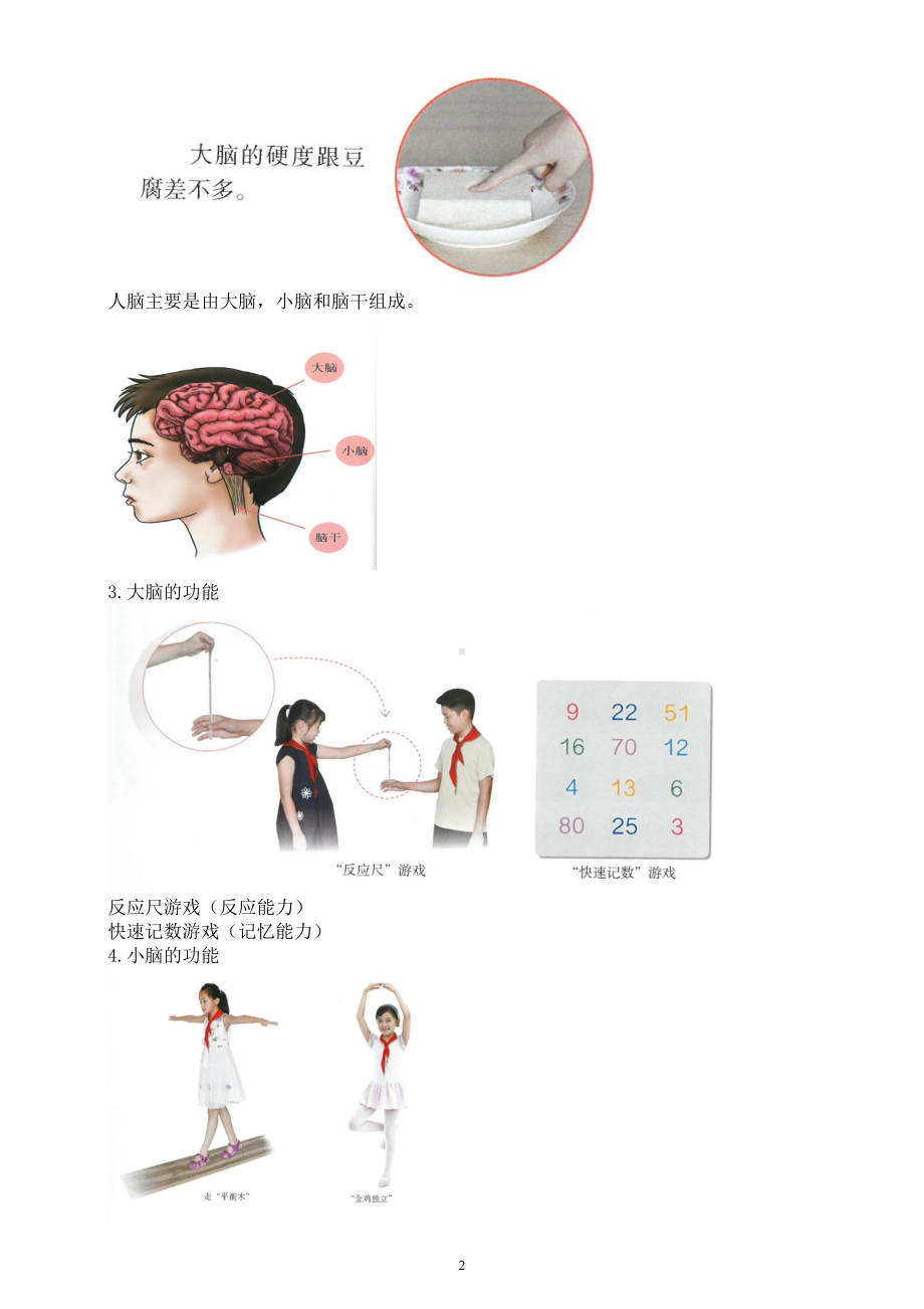 小学科学人教鄂教版五年级下册第三单元第9课《脑的功能》知识点（2023春）.doc_第2页