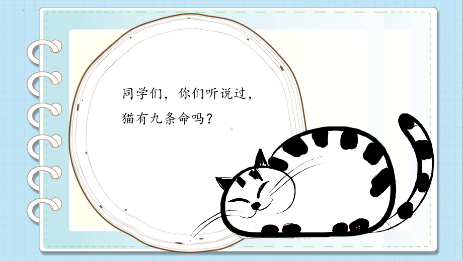 活了一百万次的猫-生命教育ppt课件.pptx_第3页