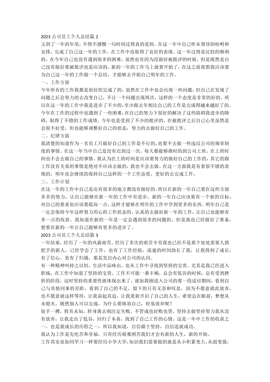 2023公司员工个人总结优质7篇.docx_第2页