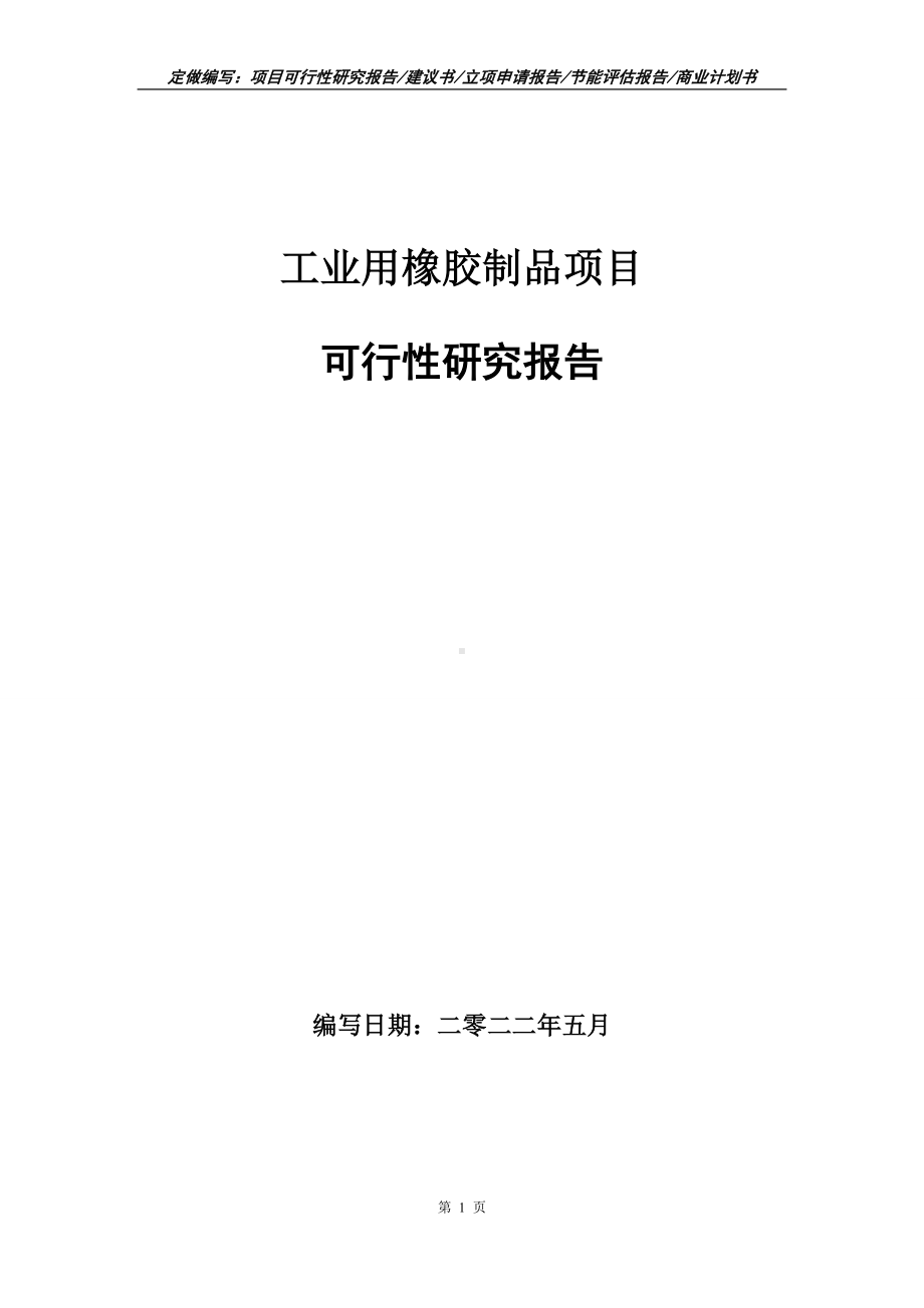 工业用橡胶制品项目可行性报告（写作模板）.doc_第1页