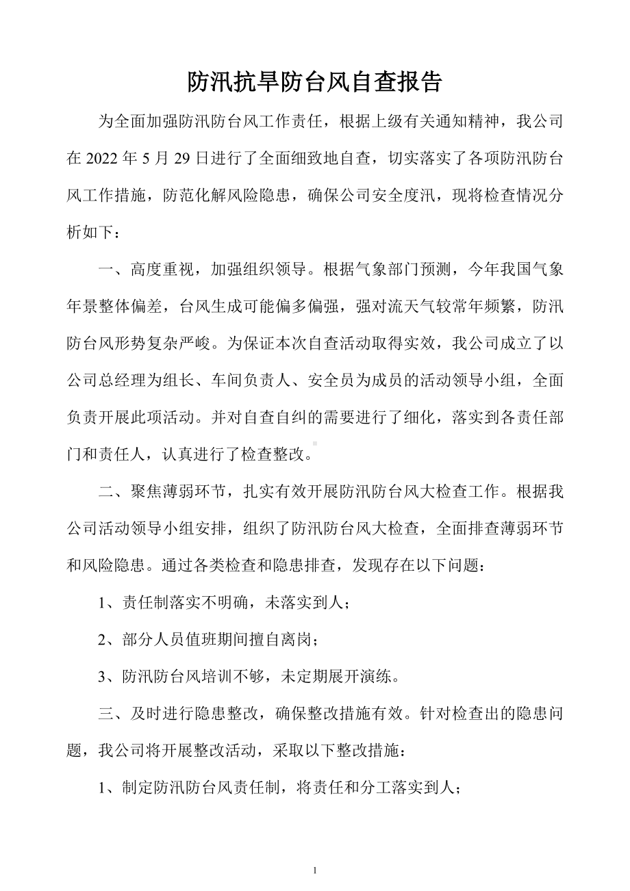 防汛抗旱防台风自查报告.doc_第1页