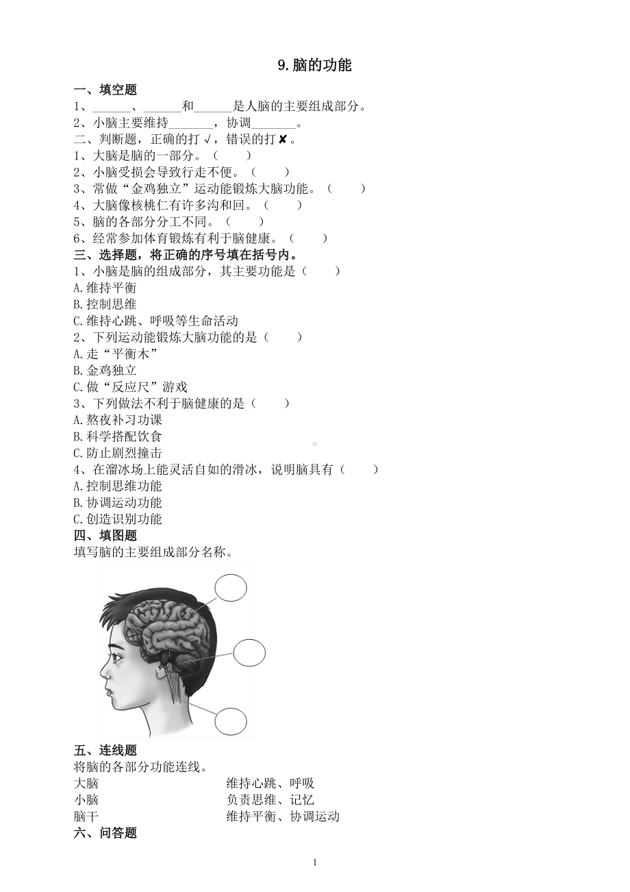 小学科学人教鄂教版五年级下册第三单元第9课《脑的功能》课堂作业新设计（2023春）（附参考答案）.doc_第1页