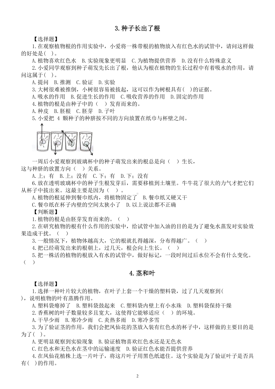 小学科学教科版四年级下册第一单元《植物的生长变化》课堂作业新设计（2023春）（附参考答案）.doc_第2页