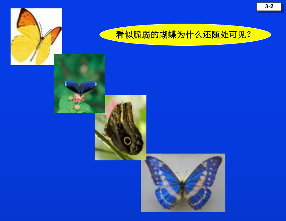 大学课件：第4章营销环境（教师）.PPT_第2页