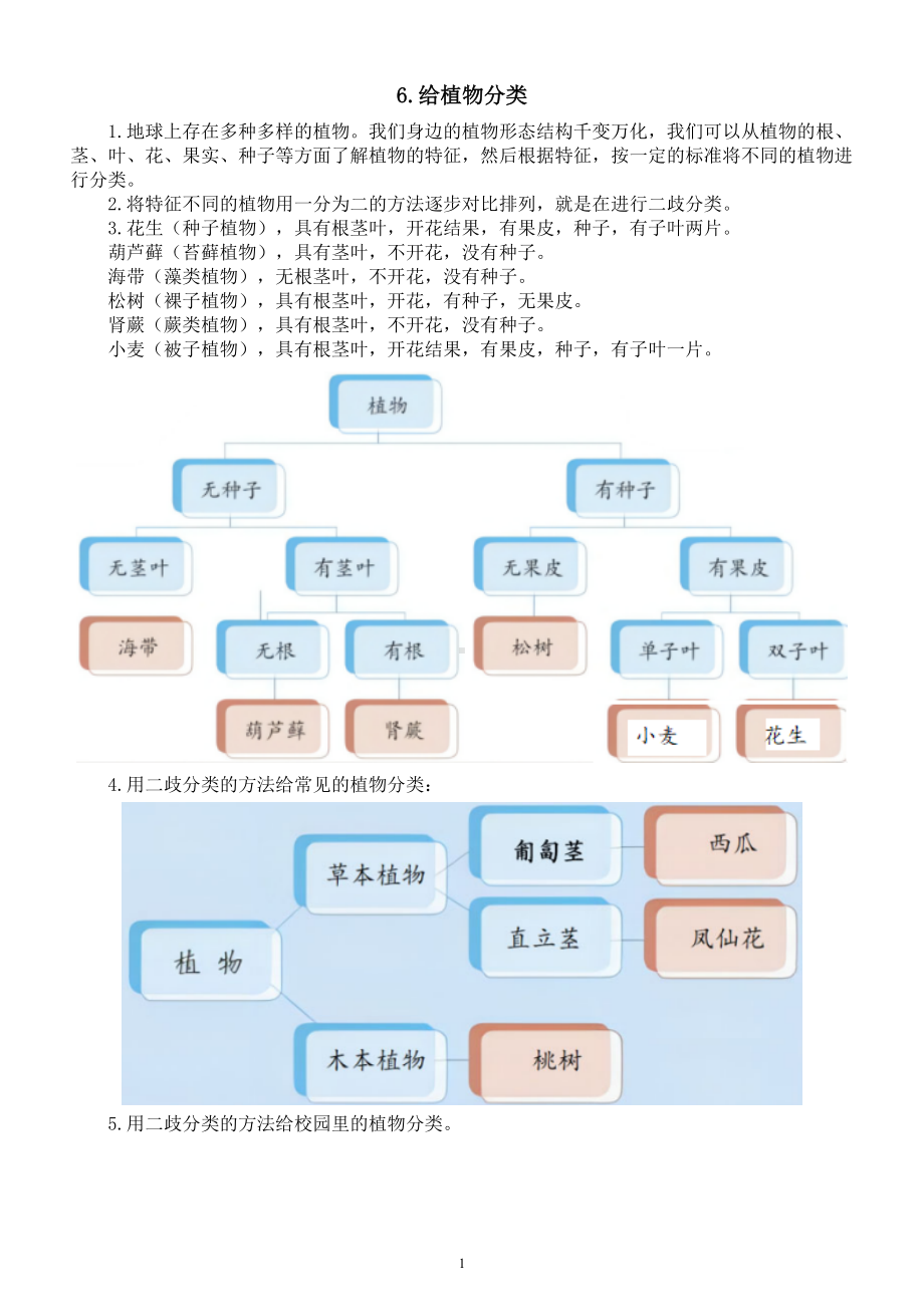 小学科学青岛版六三制六年级下册第二单元第6课《给植物分类》知识点整理（2023春）.doc_第1页