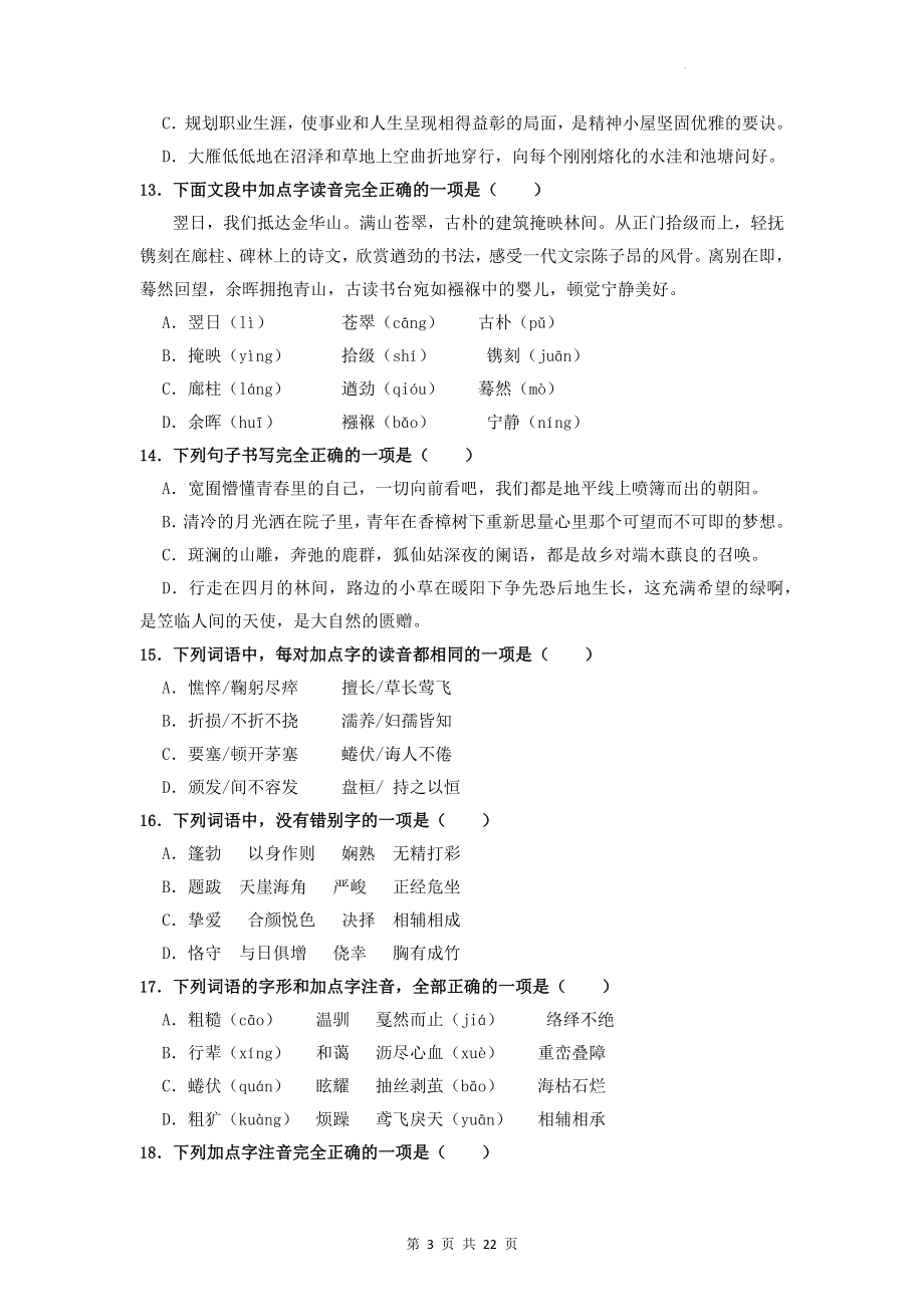 2023年中考语文二轮复习：字音字形易错题 测试卷（含答案解析）.docx_第3页