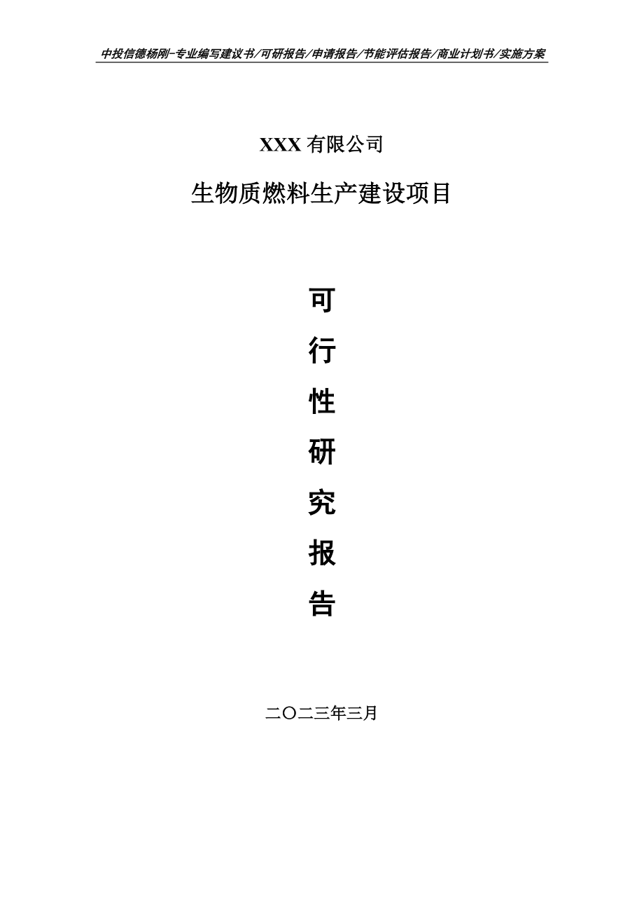 生物质燃料生产建设项目可行性研究报告建议书.doc_第1页