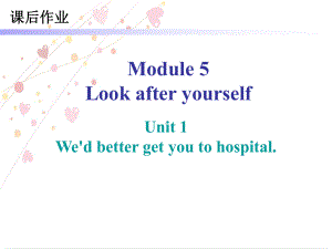 Module 5 课后作业（ppt课件）(共63张PPT)-2023新外研版九年级下册《英语》.ppt