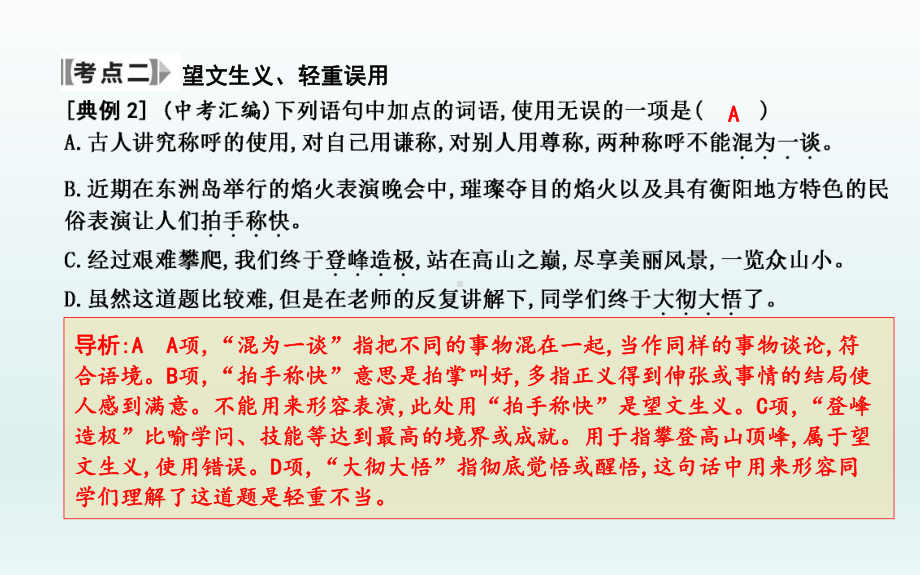 2022年中考语文专题复习-词语的理解与运用ppt课件（共71页）.pptx_第3页