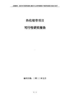 热收缩带项目可行性报告（写作模板）.doc