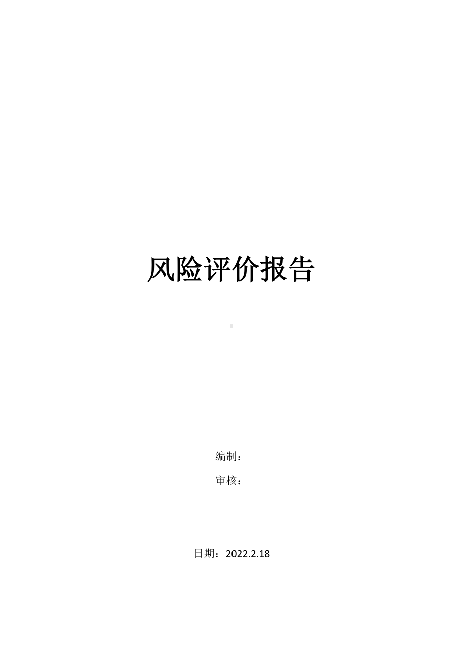 公司级风险评价报告.doc_第1页