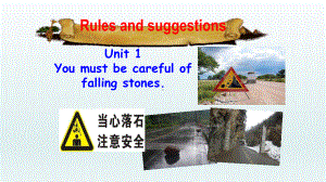 Module4 Unit 1 You must be careful of falling stones（ppt课件）（共23张PPT）-2023春外研版九年级下册《英语》.pptx