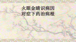 2023年中考语文一轮复习《火眼金睛识病因》ppt课件（共25张PPT）.pptx