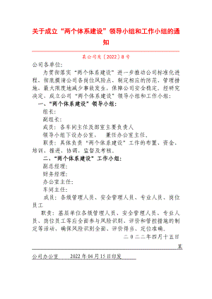 关于成立“两个体系建设”领导小组和工作小组的通知.doc