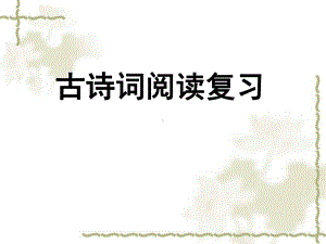 2022年中考语文二轮专题复习：古诗词阅读专题复习（共19张PPT）ppt课件.pptx