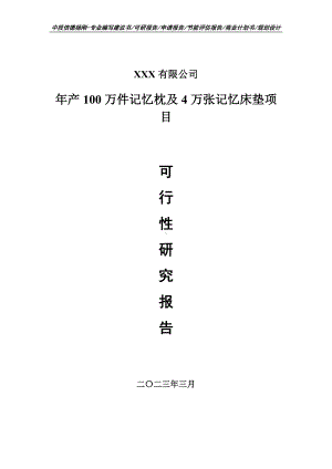 年产100万件记忆枕及4万张记忆床垫可行性研究报告建议书.doc