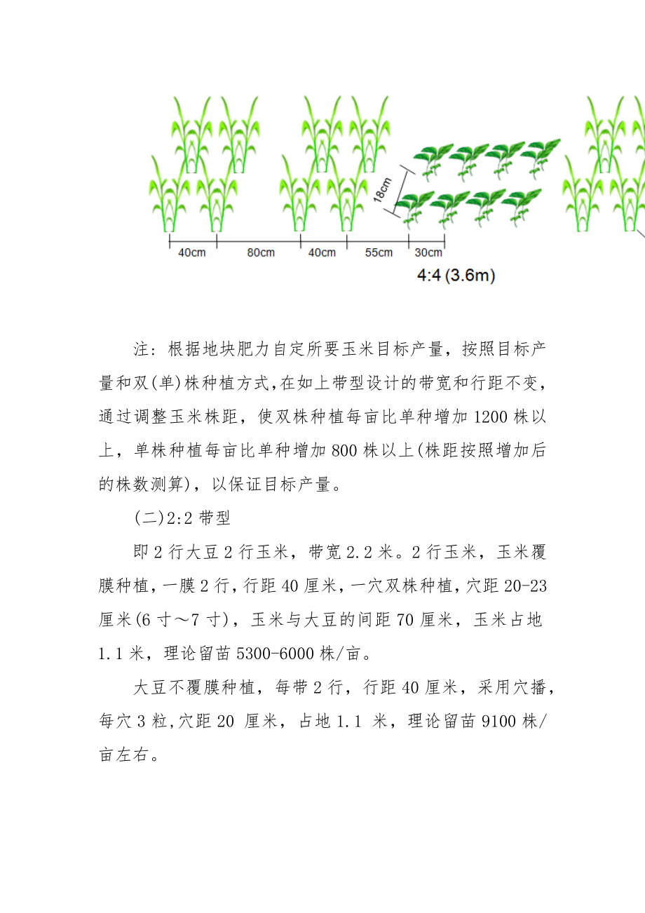 大豆玉米带状复合种植技术要点.docx_第3页