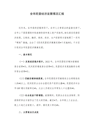 全市民营经济发展情况汇报.docx