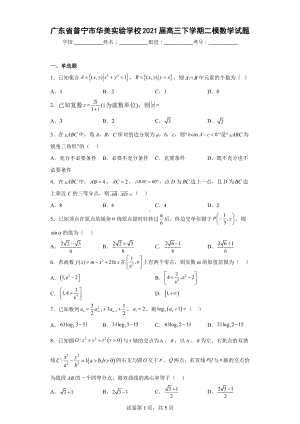 广东省普宁市华美实验学校2021届高三下学期二模数学试题.docx