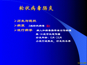 轮状病毒肠炎.ppt