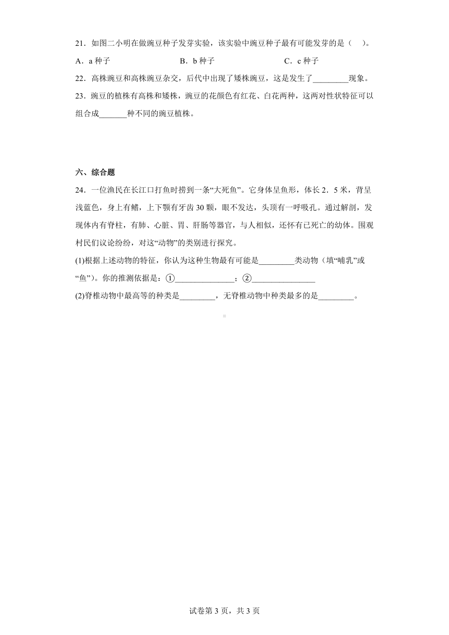 2023新教科版六年级下册《科学》第二单元生物的多样性 同步练习（含答案）.docx_第3页