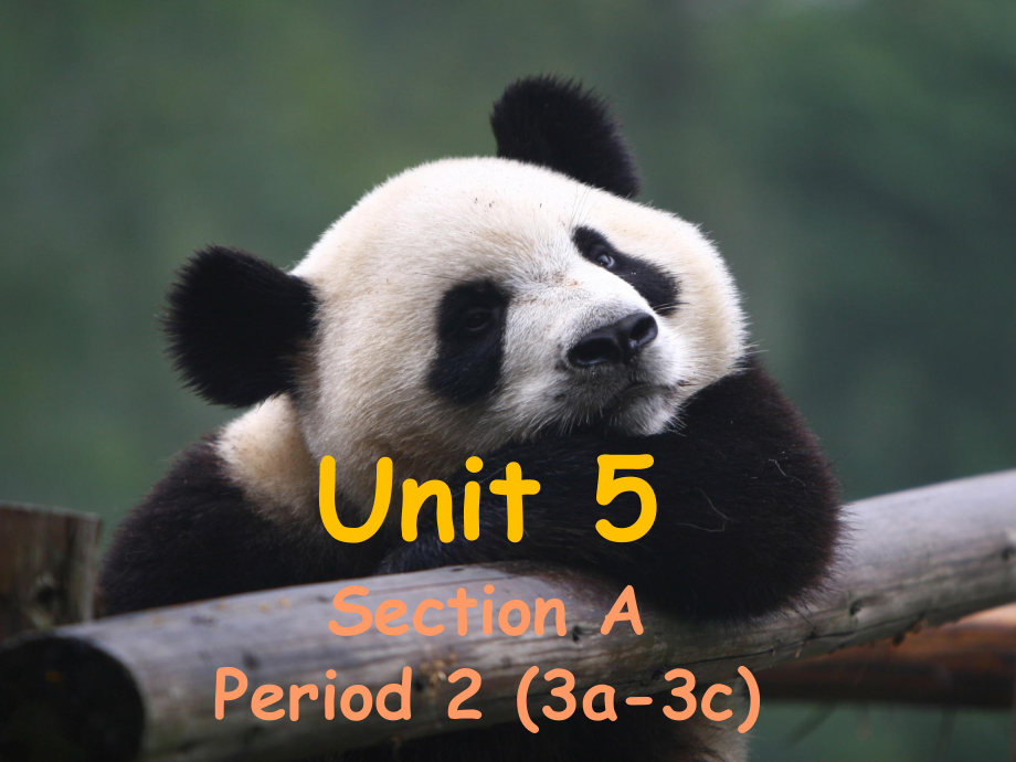 Unit 5 Why do you like pandas Section A Grammar Focus（ppt课件）(共37张PPT)-2023新人教新目标版七年级下册《英语》.ppt_第1页