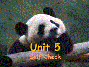 Unit 5 Why do you like pandasSection B Self check（ppt课件）(共32张PPT)-2023新人教新目标版七年级下册《英语》.ppt