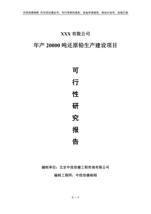 年产20000吨还原铅生产建设可行性研究报告备案申请.doc