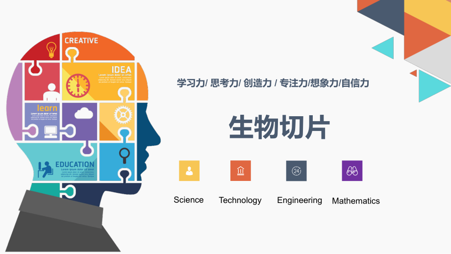 课后托管服务拓展课程：生物切片（教案+ppt课件9ppt） -2023新通用版六年级下册《科学》.rar