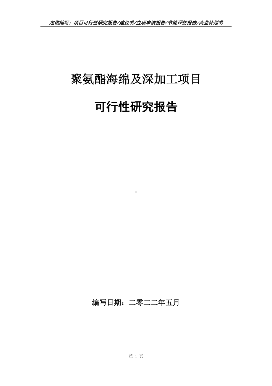 聚氨酯海绵及深加工项目可行性报告（写作模板）.doc_第1页