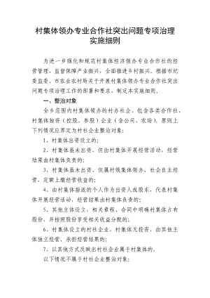 村集体领办专业合作社突出问题专项治理实施细则.docx