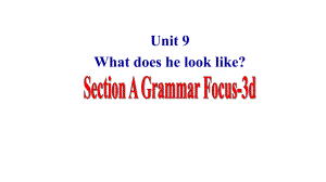 Unit9 What does he look like？Section A(Grammar Focus) （ppt课件）(共23张PPT)-2023新人教版七年级下册《英语》.pptx