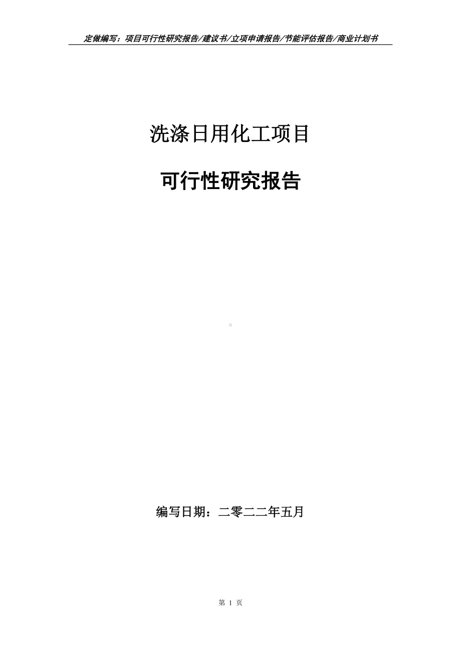 洗涤日用化工项目可行性报告（写作模板）.doc_第1页