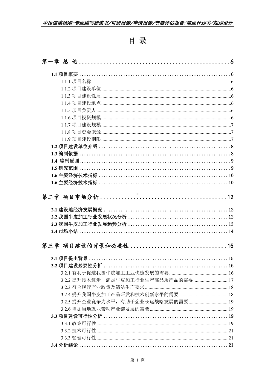 牛皮加工项目可行性研究报告模板.doc_第2页