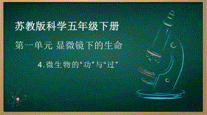 1.4微生物的“功”与“过” ppt课件 (共13张PPT)-2023新苏教版五年级下册《科学》.pptx