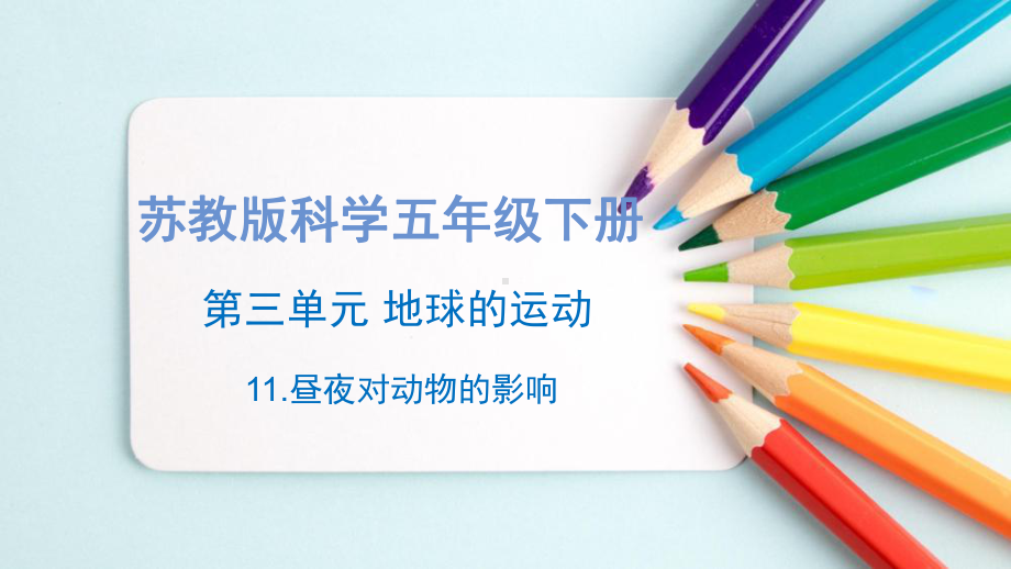 11.昼夜对动物的影响 ppt课件(共14张PPT+视频)-2023新苏教版五年级下册《科学》.pptx_第1页