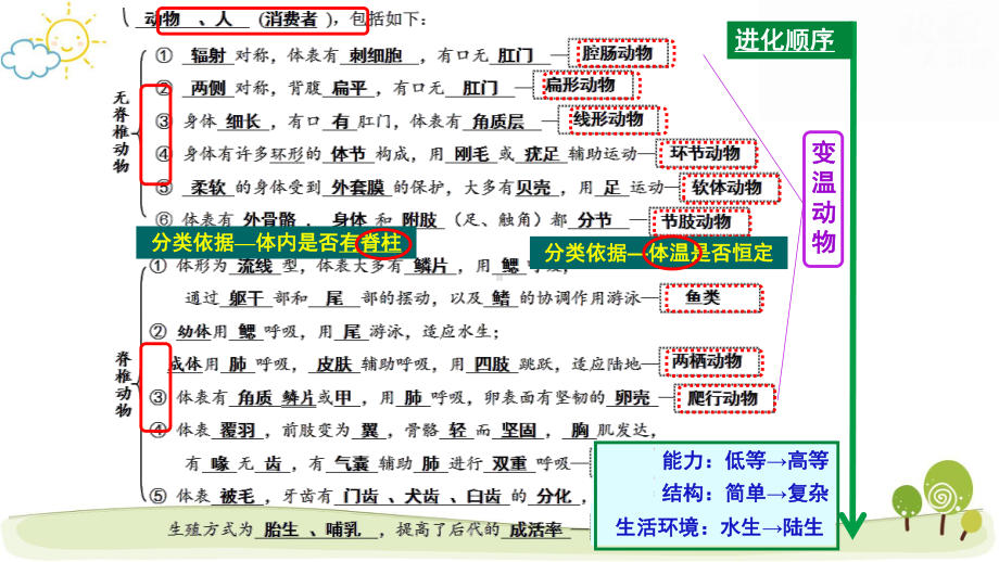 人教版八年级上册生物期末复习课件138张.pptx_第3页