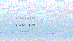 小学道德与法治二年级下册-4 试种一粒籽 （课件）.pptx